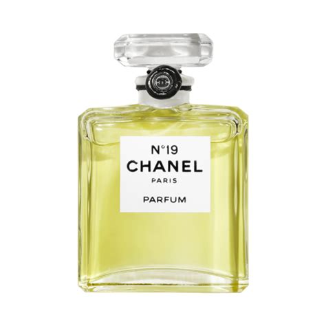 chanel no 19 100ml eau de parfum